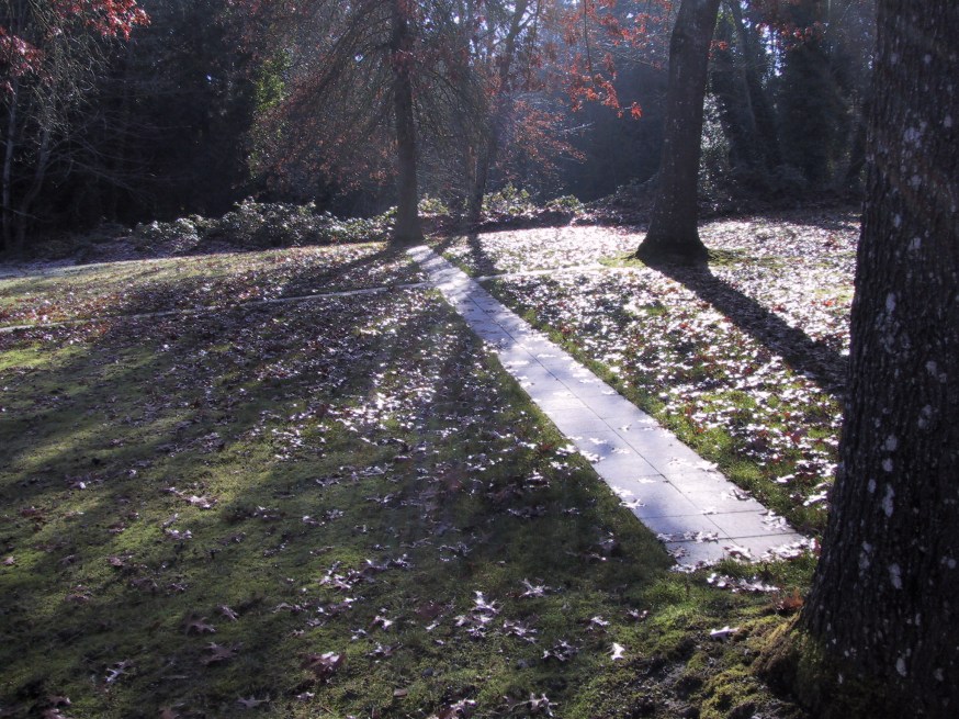 Among the Pin Oaks, 2000