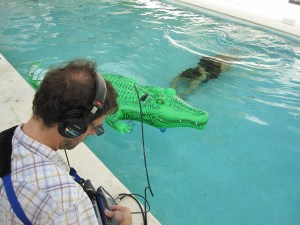 Stephen Yassi underwater