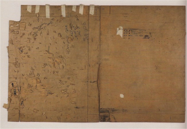 robert_rauschenberg_castelli_small_turtle_bowl1332726775806