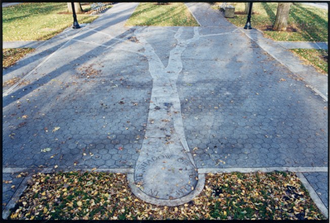 Elm 10 inches wide72